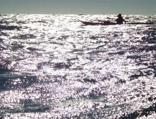 Silver sea during the 2014 Everglades Challenge Silver sea during the 2014 Everglades Challenge