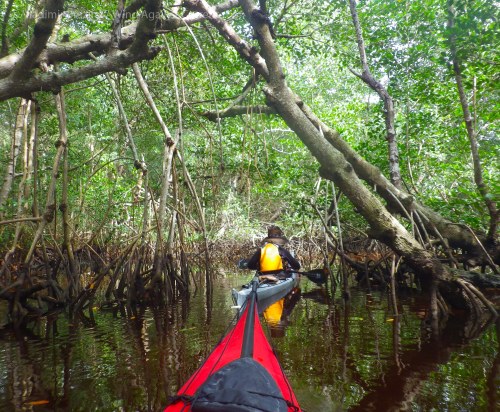 Wondering if it's possible