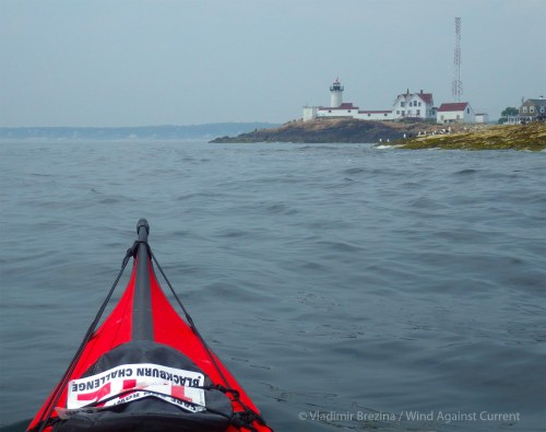 IMGP5104 cropped small