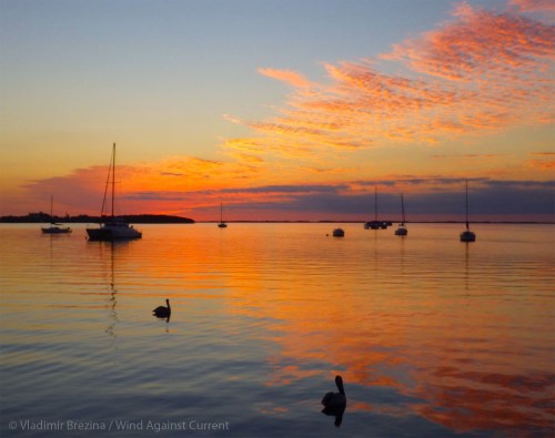 IMGP0172 cropped small