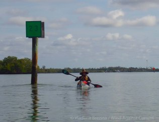 IMGP4024 cropped small 2