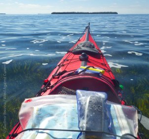 IMGP4420 cropped small