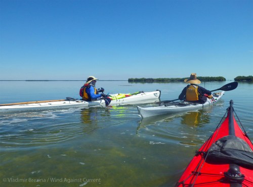 FalconSails FalconSails