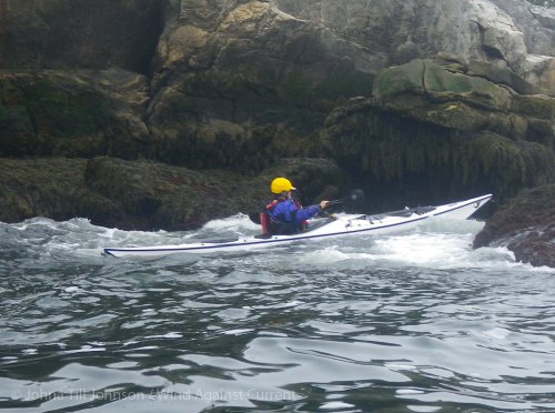 IMGP8654 cropped small