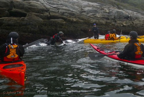 IMGP8667 cropped small