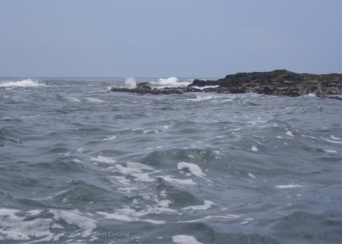 IMGP8671 cropped small