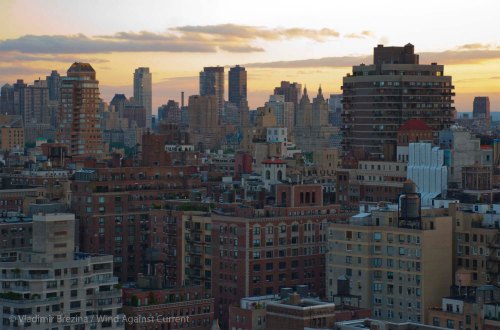 DSC_0035 cropped small