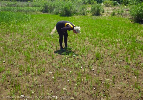 Field of holes Field of holes