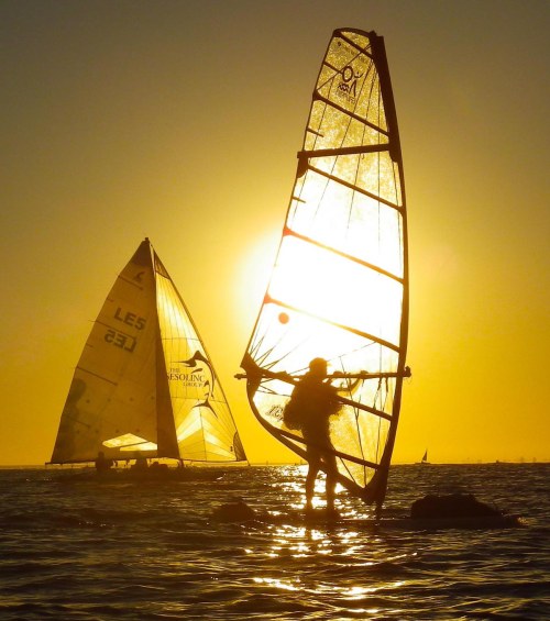 IMGP3331 cropped small 2