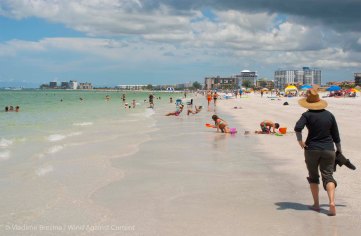 We set off St. Pete Beach birds 1