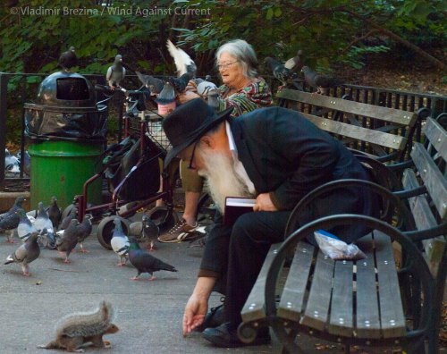 ... and the squirrels!