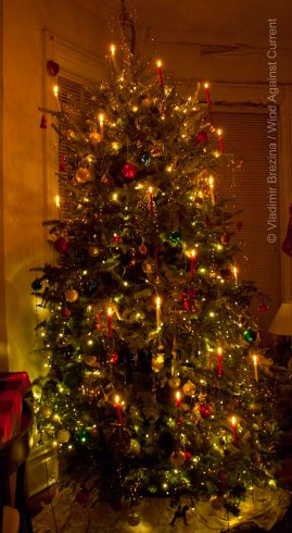 Our 2014 Christmas tree Our 2014 Christmas tree