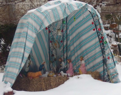 Christmas in February at a Community Garden