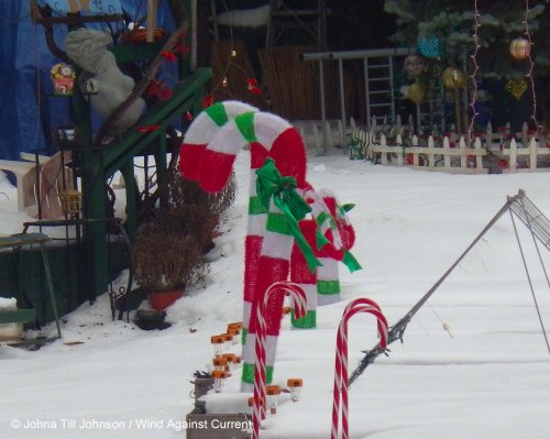 IMGP0008 cropped small