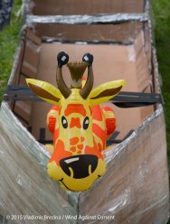 Cardboard Kayak Race 8