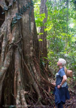 In the rain forest In the rain forest