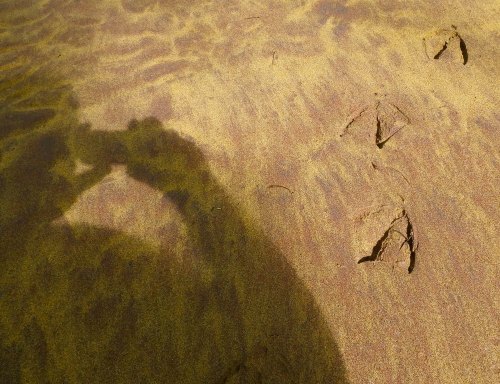 Beneath My Feet Beneath My Feet