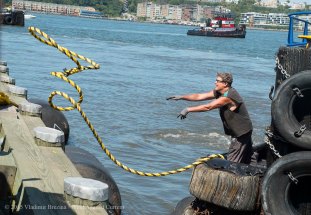 Tugboat Race 73 Tugboat Race 73