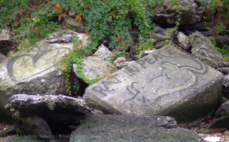 Rat in Peace Yellow Submarine Paddle 29