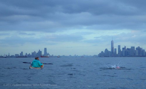 Alan the swimmer and Margrethe the paddler Yellow Submarine Paddle 42