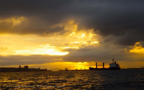 Golden sunset Yellow Submarine Paddle 51