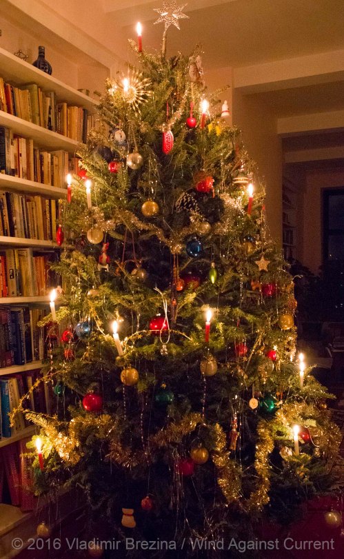 Christmas tree lit Christmas tree lit