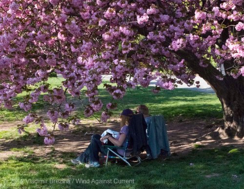 Other Sights of Spring 3 Other Sights of Spring 3