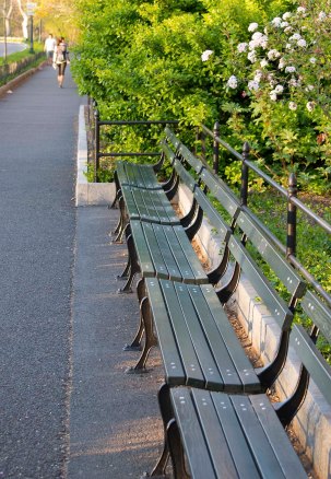 Central Park benches Central Park benches