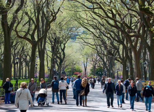 Fresh green Fresh green