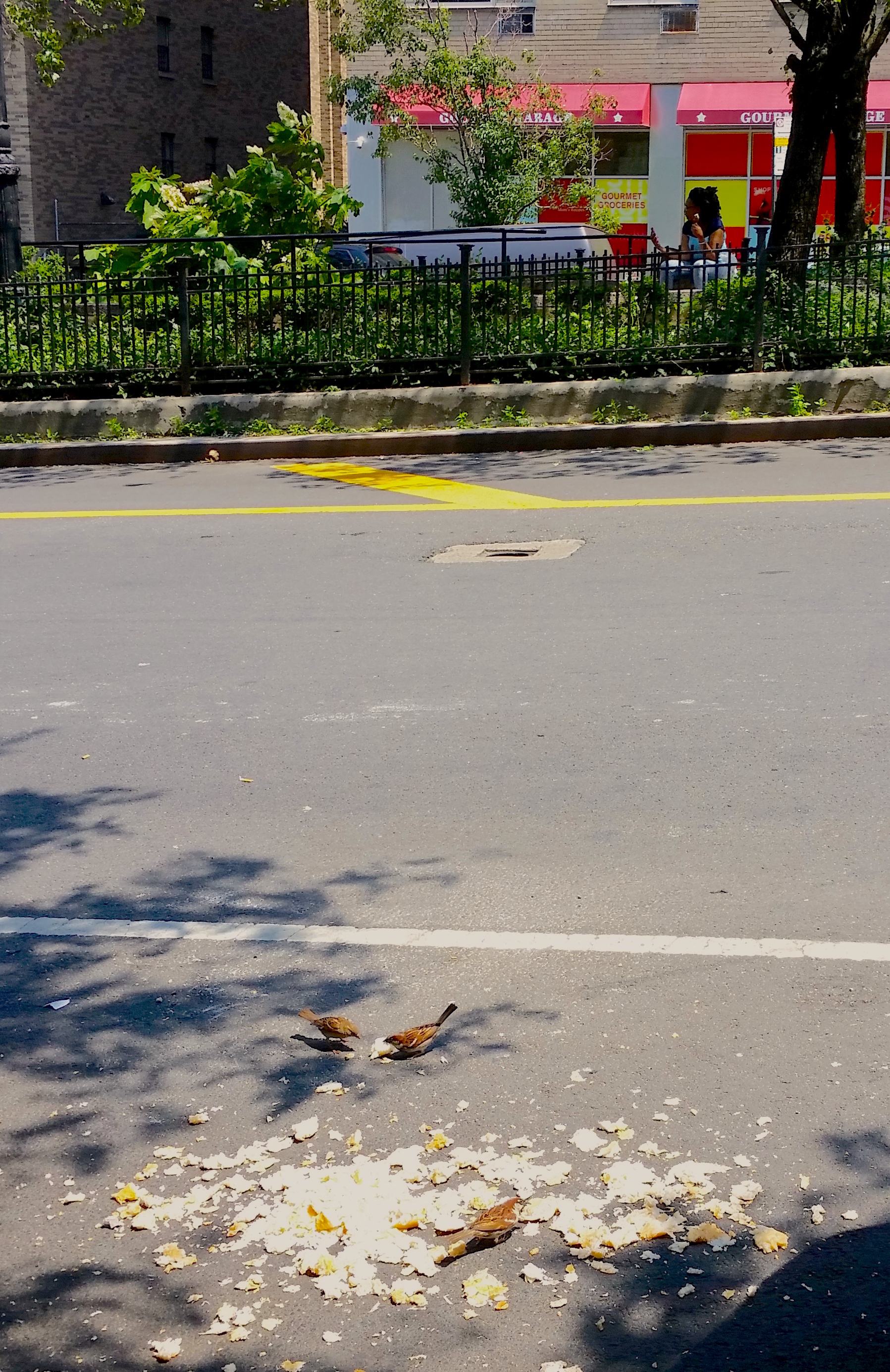 windfall-three-birds-crop-1-effects