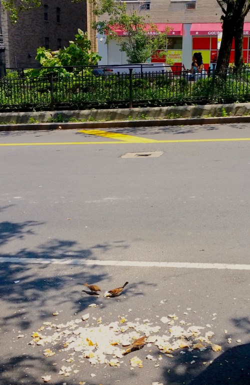 windfall-three-birds-crop-1-effects