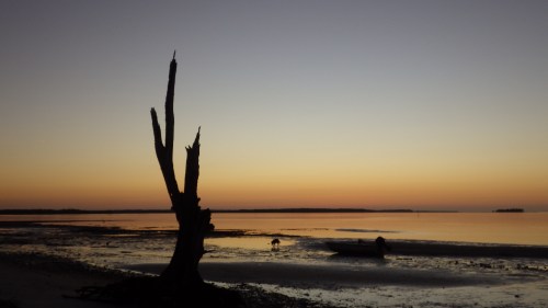 panther-key-sunrise-wolfie