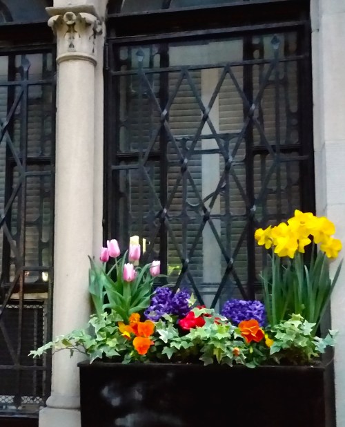 NYC Flowers 042017 Edited